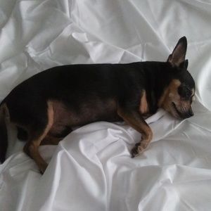 Meet your Posher, Agnes